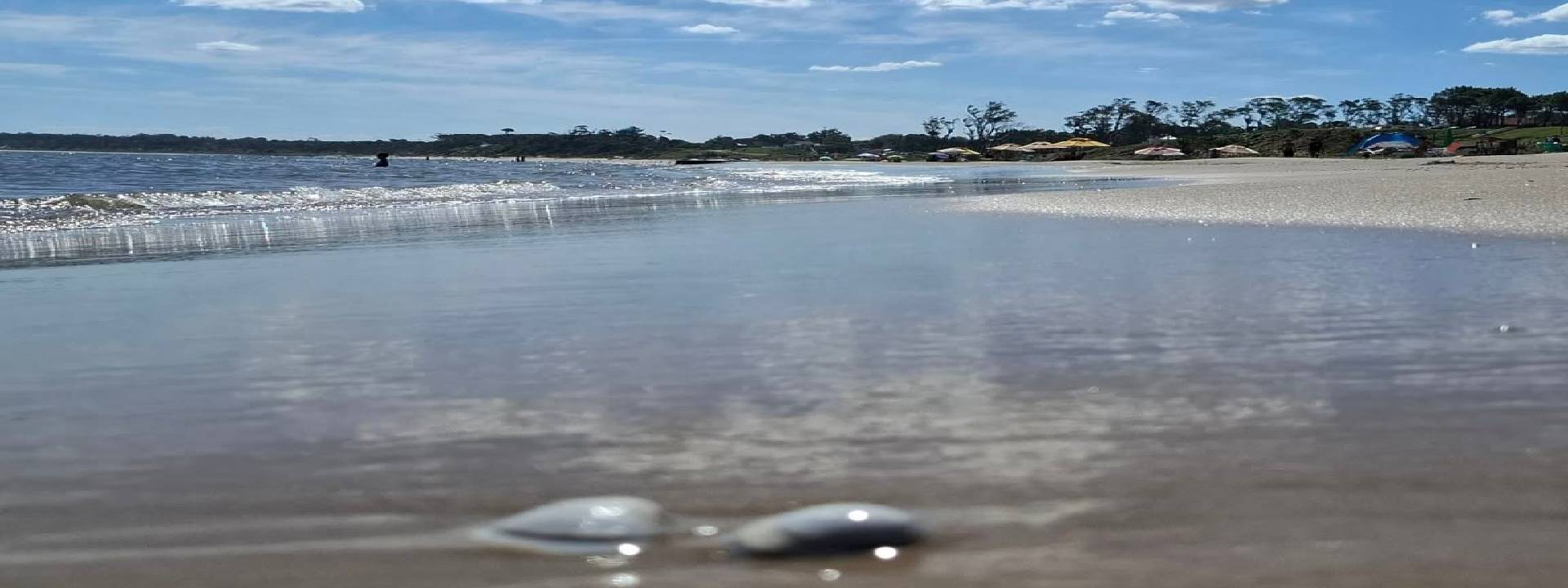 Atlántida