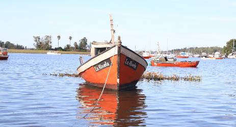 Barra de Santa Lucía - Vista 8